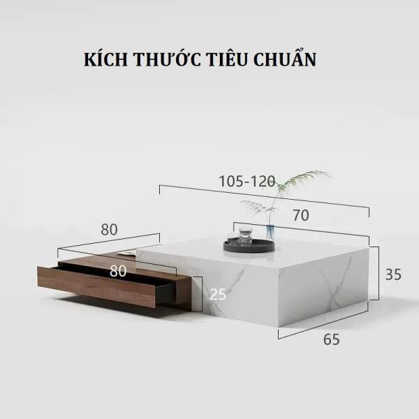 ban-tra-nhap-khau-da-va-go-pula-bt66-7