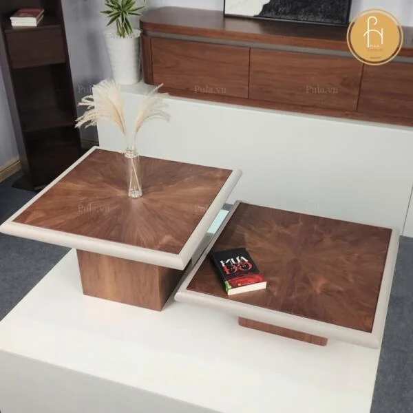 bo-ban-tra-go-vuong-co-vien-bt111-1-1