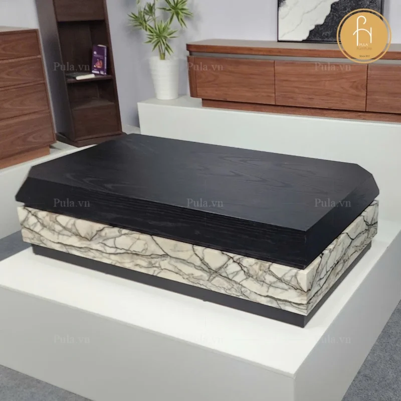 Bàn trà chữ nhật 2 khối BT100