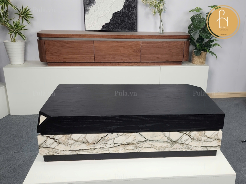Bàn trà chữ nhật 2 khối BT100