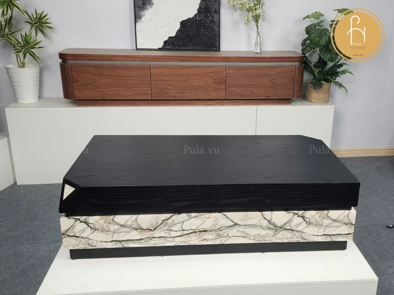 Bàn trà chữ nhật 2 khối BT100