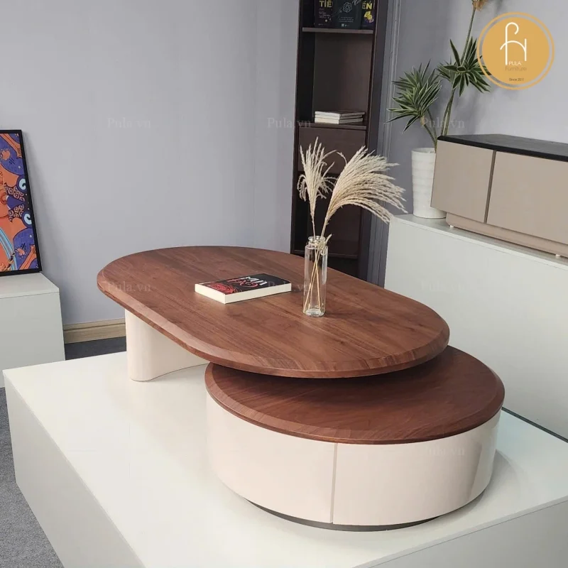 Bàn trà gỗ 2 tầng BT107