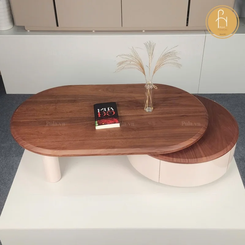 Bàn trà gỗ 2 tầng BT107
